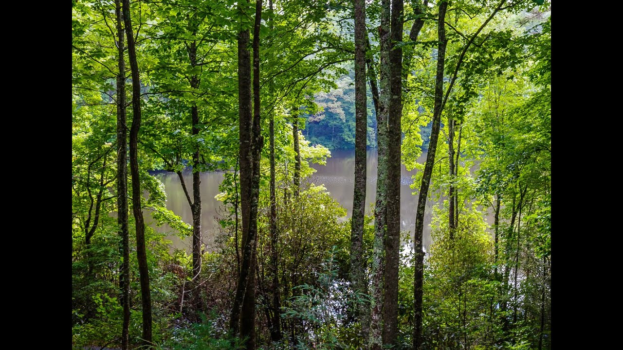 Sherwood Forest custom home overlooking Trout Lake