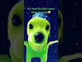 dog filter 🙃 #fypシ #pov #ive #space #aliendog #2023 #coquette
