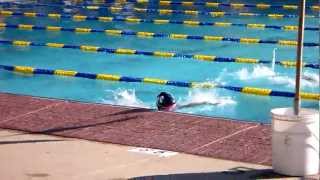 Sienna - First Time Butterfly Race