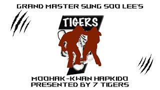 The Way of Circular Motion - Hapkido Demonstration