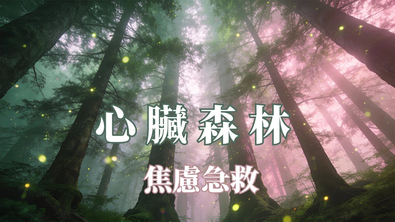 走進「心臟森林」：60分鐘 528Hz 心輪調頻，讓焦慮的心深呼吸 🌲 消除胸悶與心慌#心臟安定 #528Hz #心輪 #焦慮釋放 #深呼吸 #失眠音樂 #冥想  #靜之體系 #森林白噪音