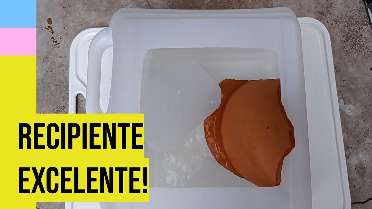 Recipiente para Reprodução de Peixe Tricogaster e Colisa