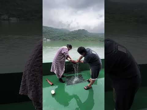 Oregon vs Indiana, ship match😱