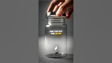 The Truth Behind The VIRAL Trapped Flea... 🤯🧠