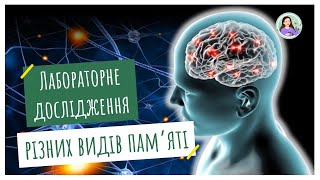 картинка: Лабораторне дослідження різних видів пам'яті