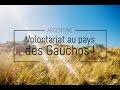 ARGENTINE : Volontariat en Argentine ! - Lama et Ganesh