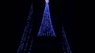 8 Mega Tree