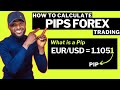 How to calculate pips forex trading for beginners