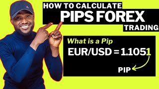 How To Calculate Pips Forex Trading For Beginners