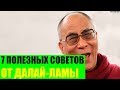 7 полезных советов от Далай-ламы