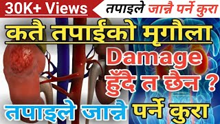 Nepali Health Tips To Save Your Kidny मिर्गौला किन फेल हुन्छ ? यस्ता छन प्रमुख कारणहरु news2nepal