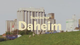 Swutscher - Daheim