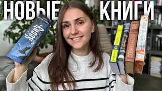 картинка: КНИЖНЫЕ ПОКУПКИ перед Новым годом📚❄️полки уже трещат по швам