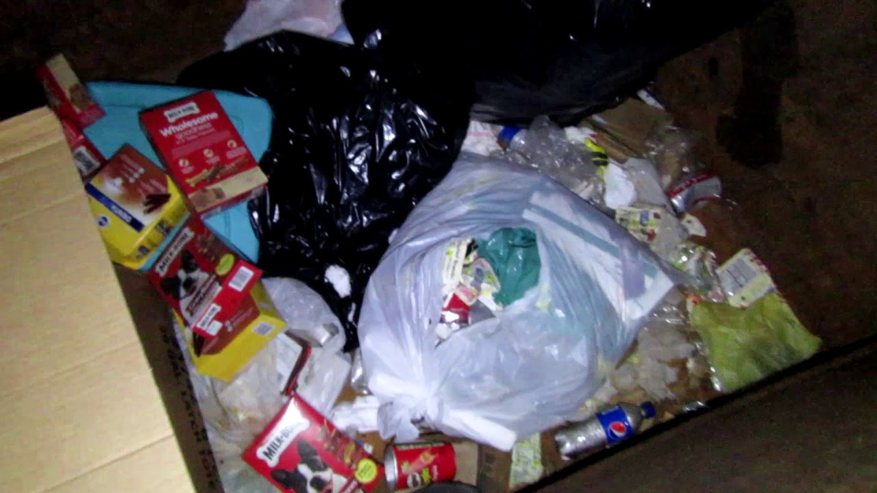 Photo inspiration: Gallery Detail: Jerky Time Dumpster Diving Free Food And Dog Treats