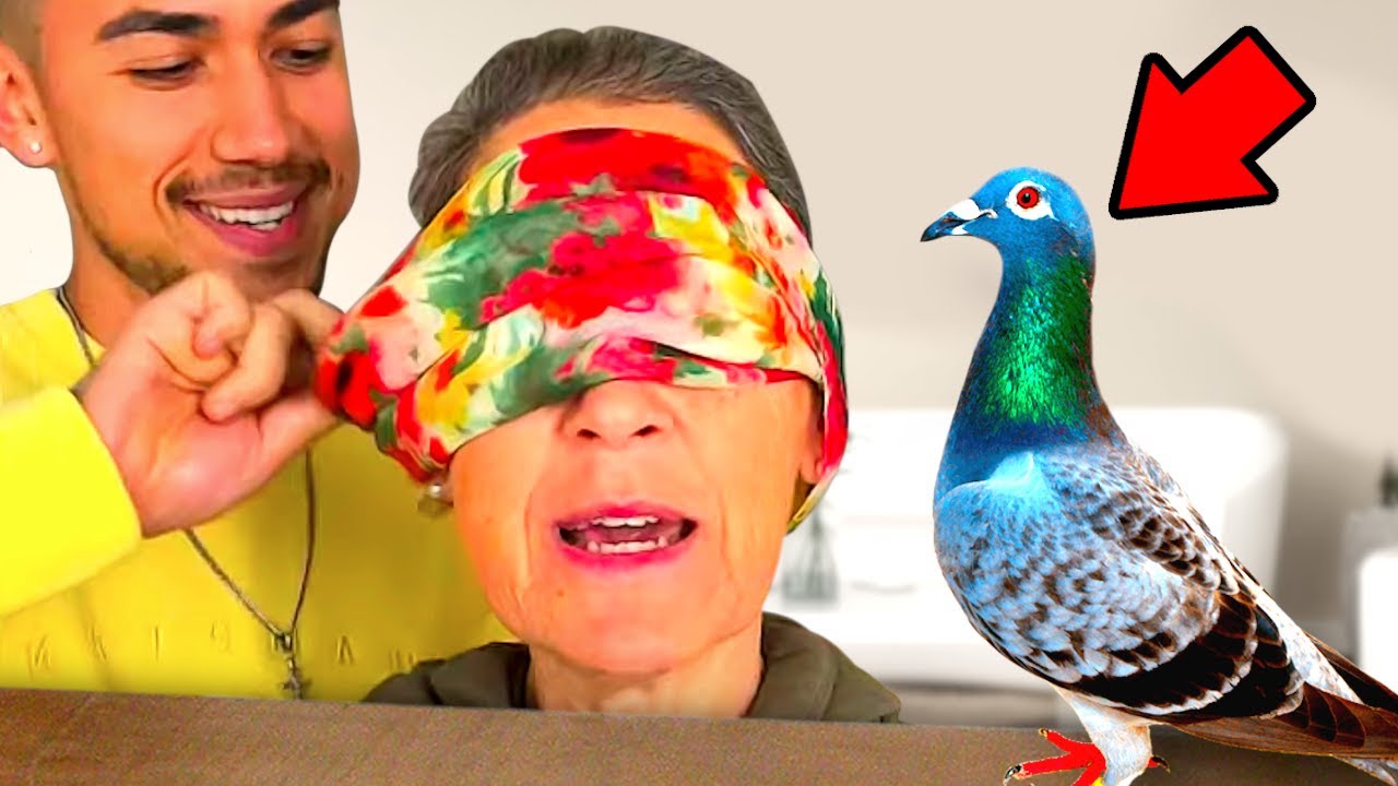 I Surprised my Mum with a Pigeon (Her New Pet)