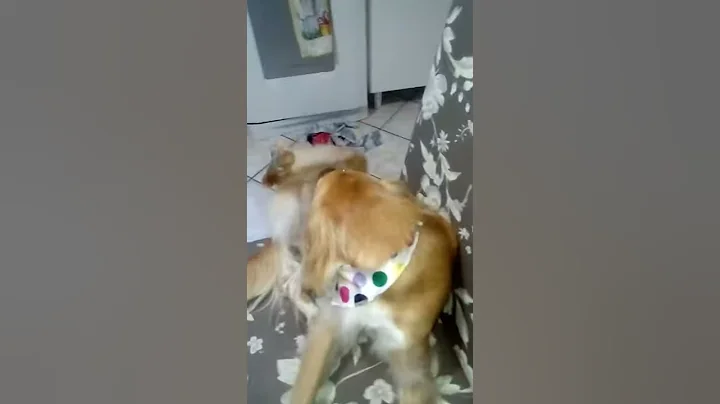4 de fevereiro de 2018