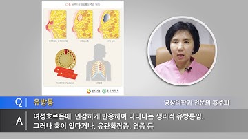 팔, 어깨, 등 통증이 유방통과 관련이 있다면???