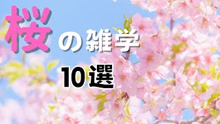 桜の雑学10選 by シンプル雑学 110 views 1 month ago 3 minutes, 9 seconds