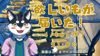 【突発雑談】欲しいもが届いた！【Vtuber/霧神禅華(きりがみ ゆずか)】
