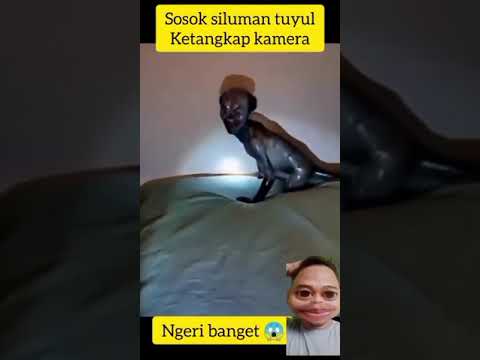 SERAM😱Terekam kamera sosok