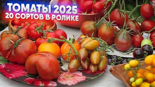 картинка: Томаты 2025 - 20 сортов в ролике