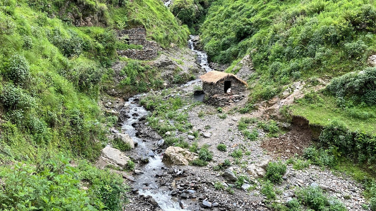 Organic Hills Lifestyle of Western side of Nepal |Hardworking | Monsoon | Winter
