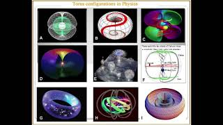 All is Atum - Torus Field