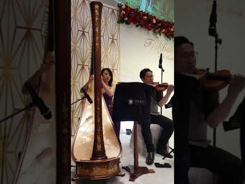 Endless love - Harp and Violin