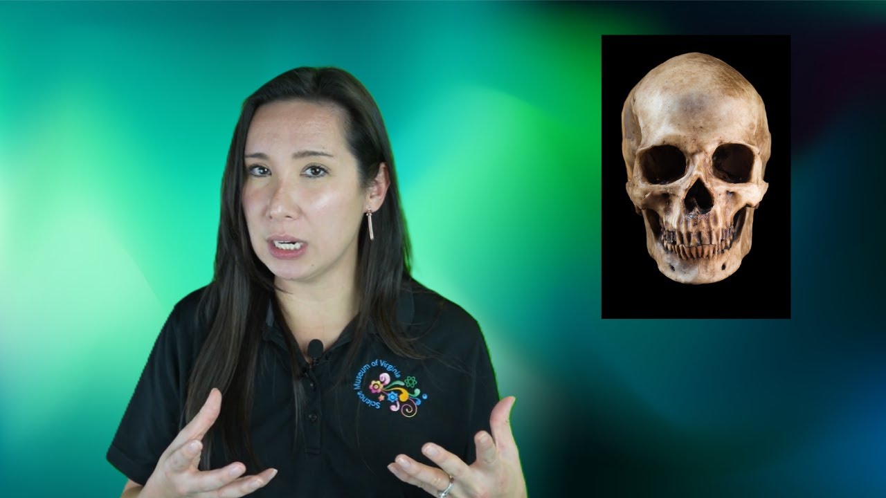 Топ-5 направлений биологической антропологии — 2025 год