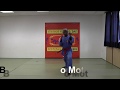 Vovinam techniques de coups de pieds par gilles crozoncazin club vovinam arobic