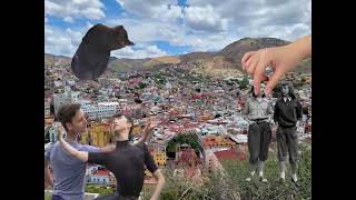 Compassion In Motion