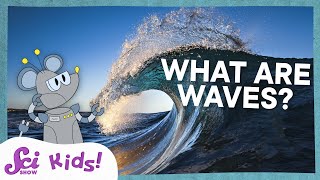 What Are Waves? | Science at the Beach! | SciShow Kids