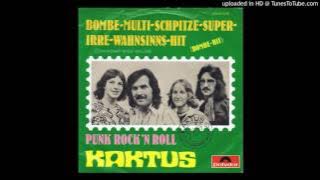 Download lagu Kaktus - Punk Rock 'n Roll