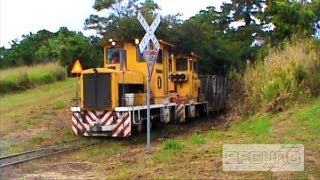 Cane Locomotives Hauling Bins Through [SD]