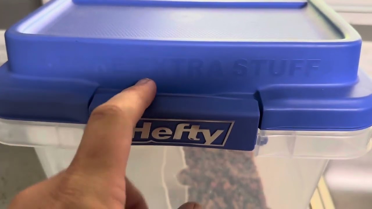 Hefty Plastic Storage Containers at