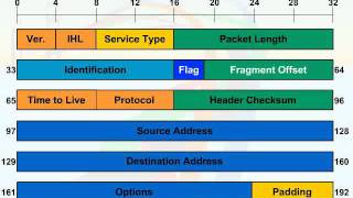 038   04  TCP IP Transport and Applications   07  Datagram Header screenshot 5