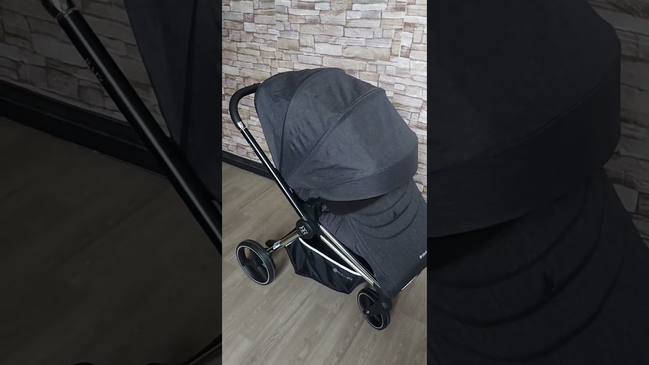 коляска 2в1 Labala raiz