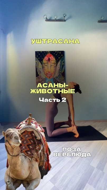АСАНЫ-ЖИВОТНЫЕ. Часть 2. #йога #здоровье #асаны #животные #йогаонлайн # ...
