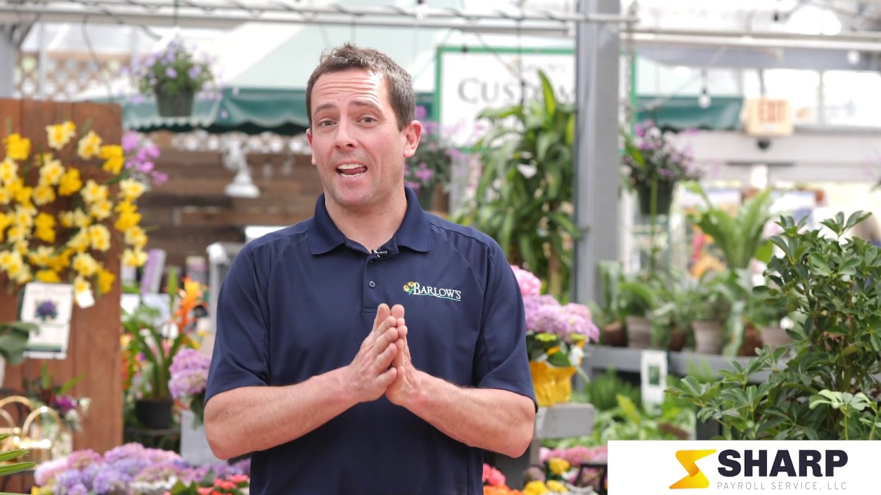 Barlow's Garden Center, Sea Girt, NJ YouTube