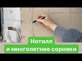 Но-тилл. Многолетние сорняки, мой опыт. полезная информация.