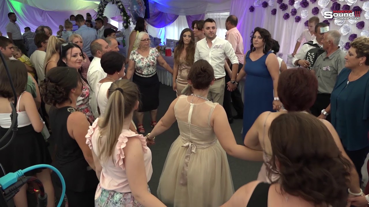 Svadba Andrijana & Nemanja, Sige, Orkestar Sveti gral - Vlasko sitno