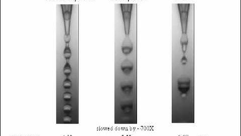 Dynamic Pattern Formation of Bubbles in a Liquid Stream