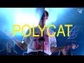 POLYCAT @ CAT T SHIRT 5