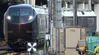 2021/06/12 JR East: E655 Series Nagomi at Oku Rail Yard