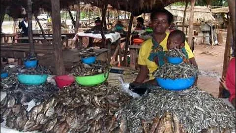 A Phiri Anabwera Nashil Pitchen Kazembe Zambian Music