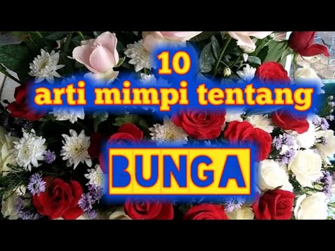 Video: Mengapa Karangan Bunga Itu Bermimpi