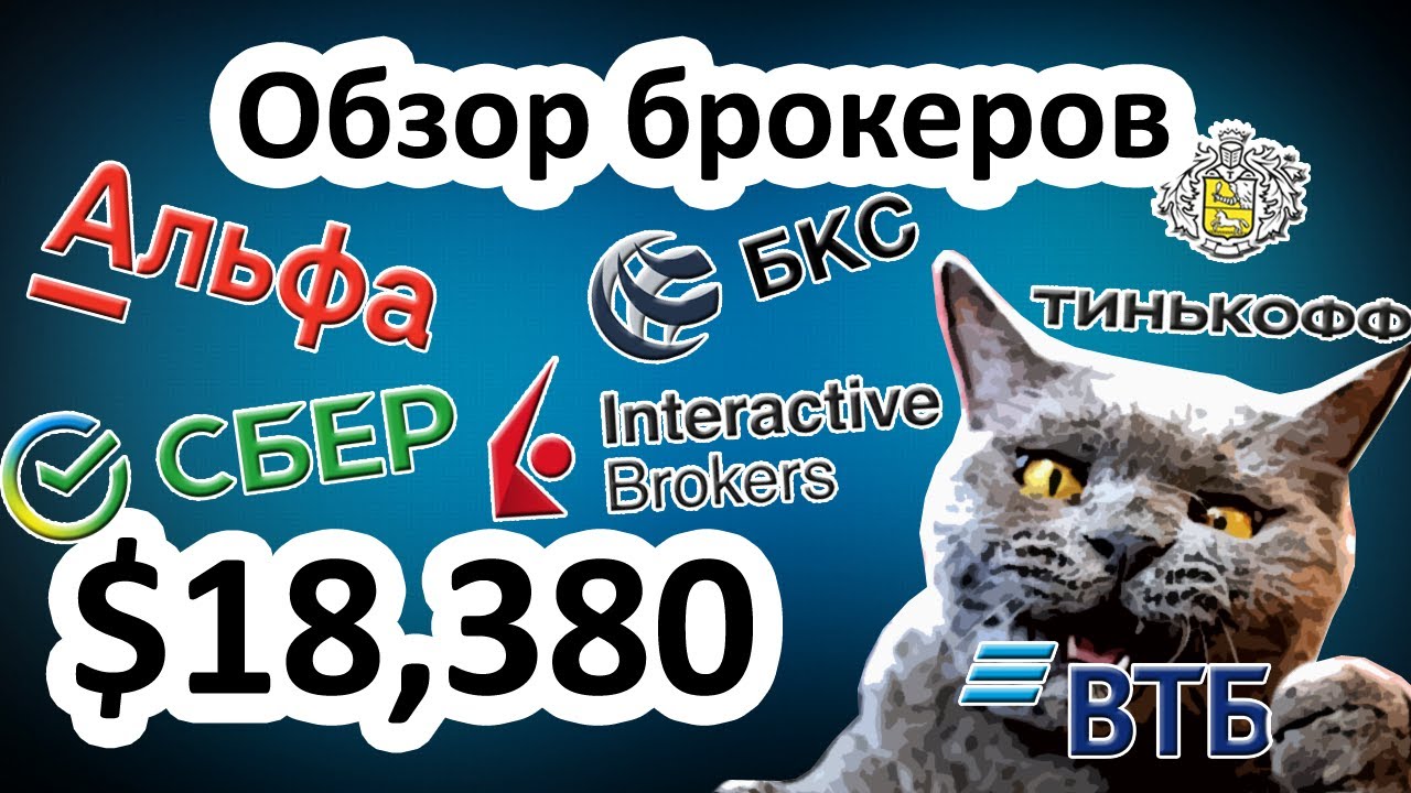 Как выбрать брокера? Обзор всех брокеров: Альфа, СБЕР, БКС, Тинькофф ...