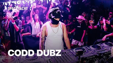 Codd Dubz | Big Bass Ting 360