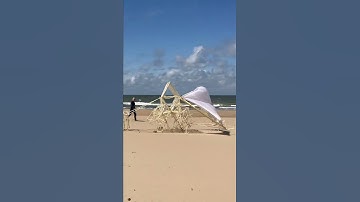Thumbnail of Strandbeest 2022, music: James Quinn - A Gentle Sunlight