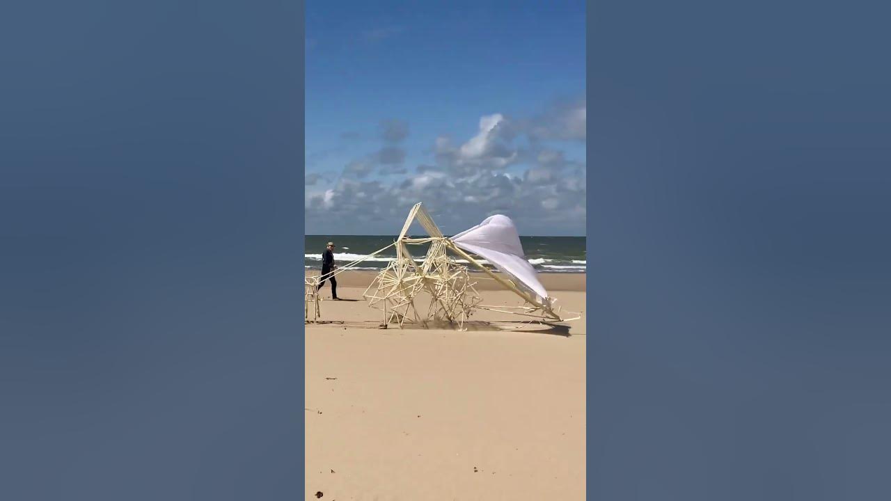 Strandbeest 2022, music: James Quinn - A Gentle Sunlight